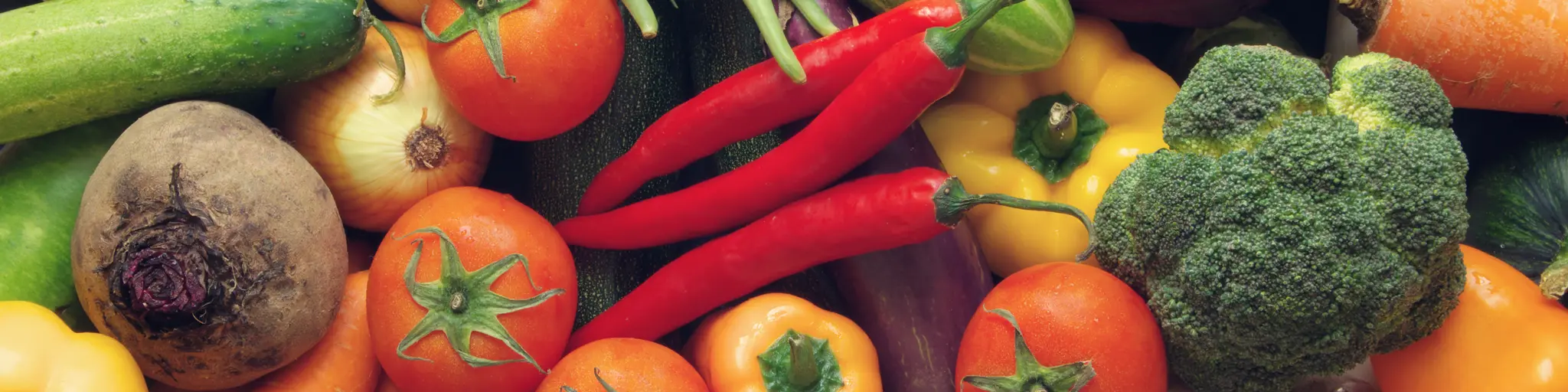 Cover Adobestock 121181606