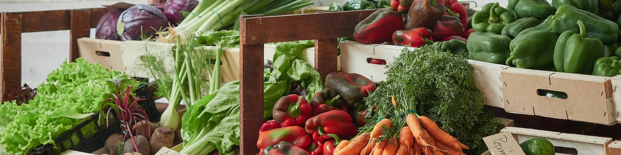 Cover Adobestock 480974676