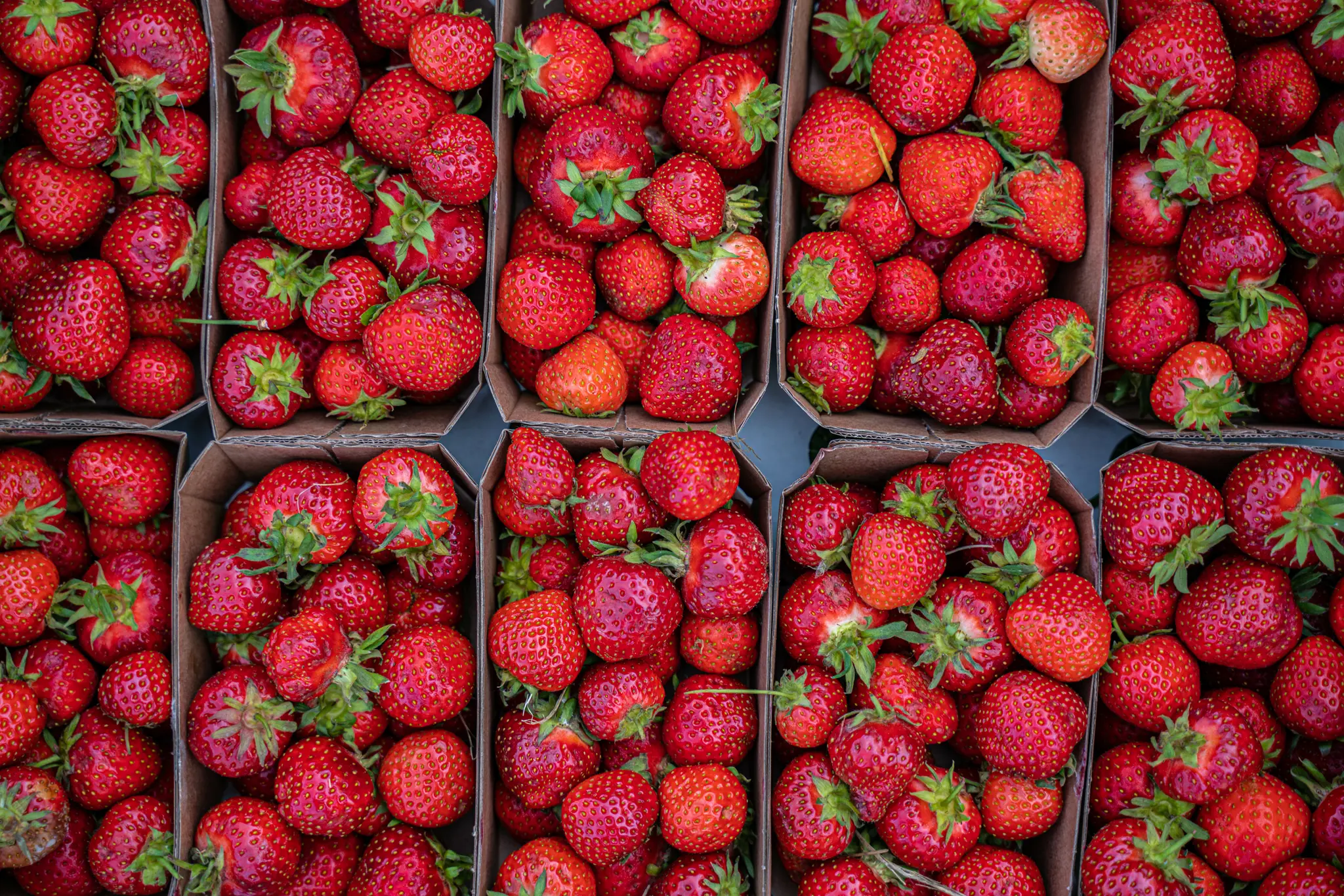 Newsletter Adobestock 442013736 Newsletter Adobestock 442013736